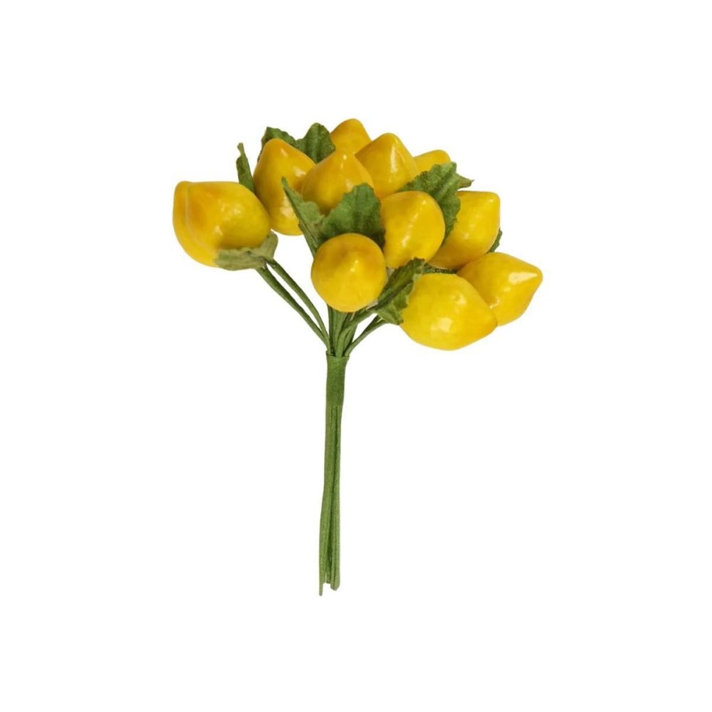 LIMONE MEDIO SINGOLO CFOGLIA